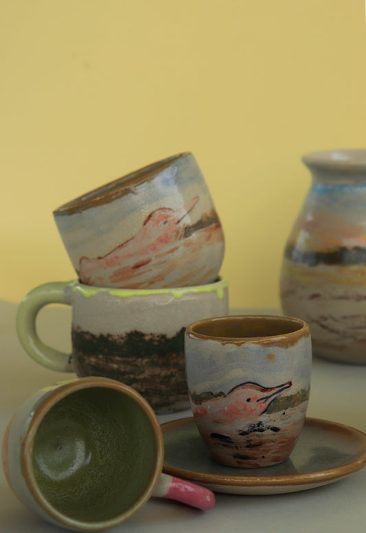 Amazon Collection